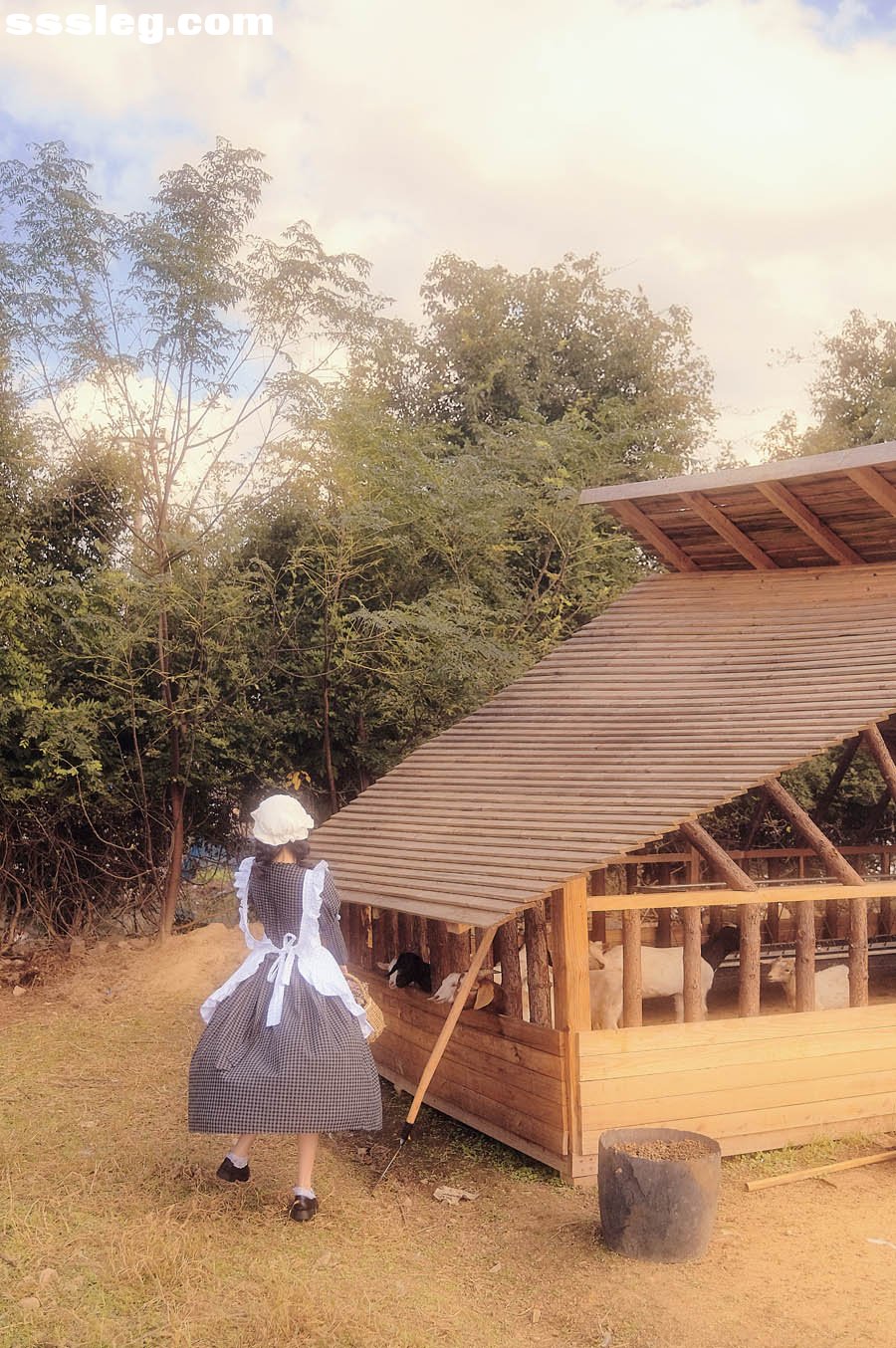 01.jpg