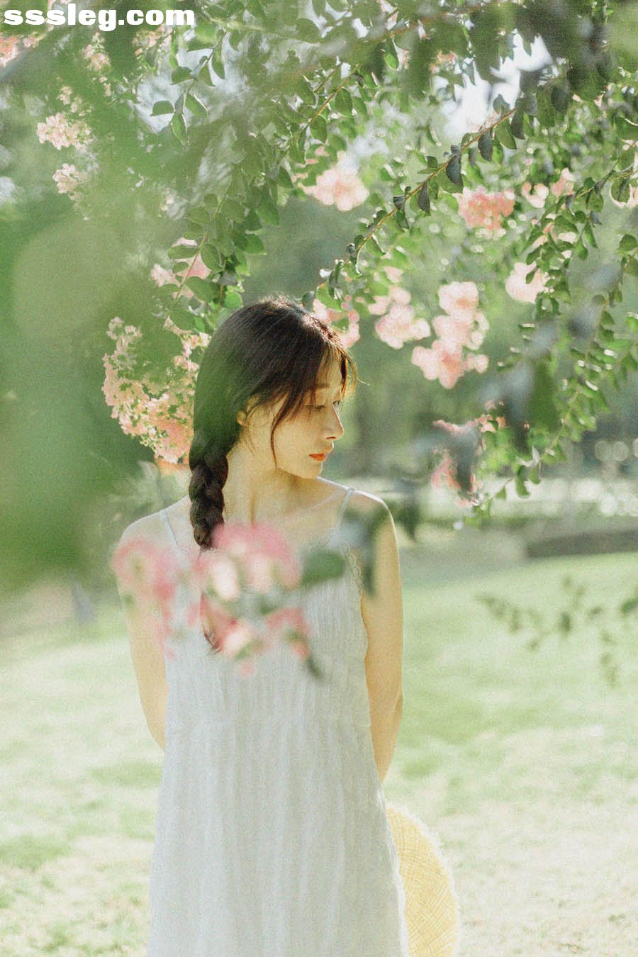01.jpg