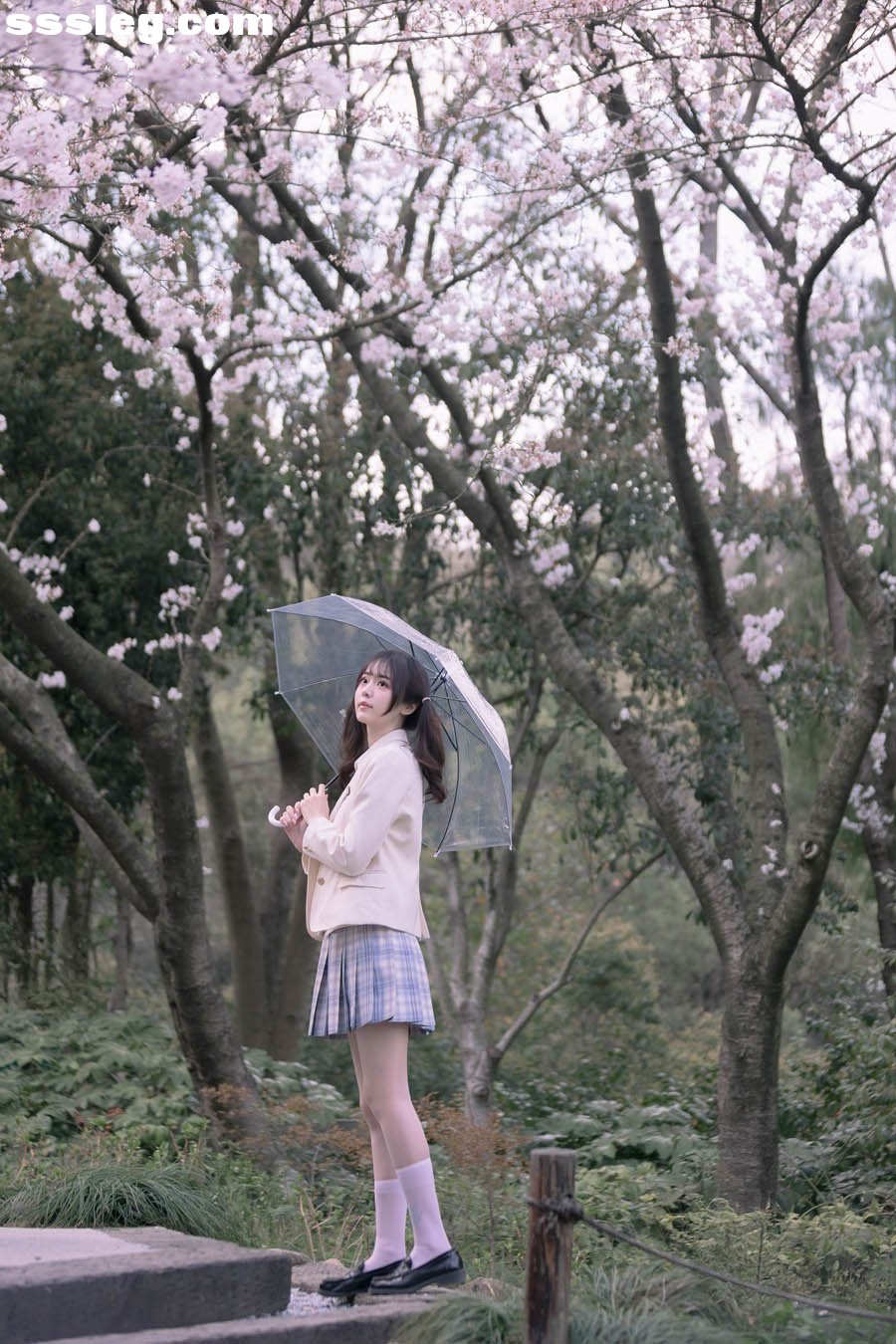 01.jpg
