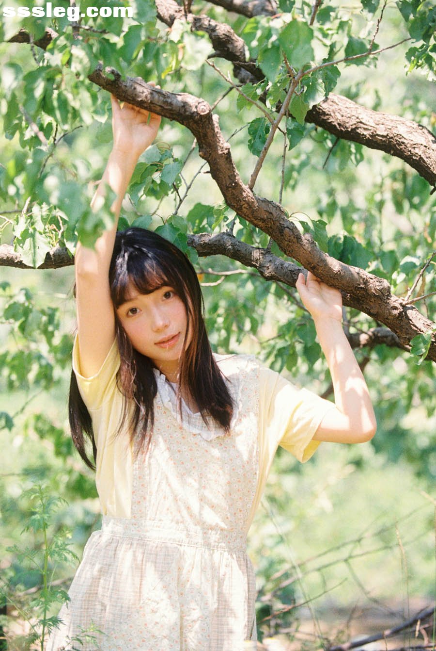 01.jpg