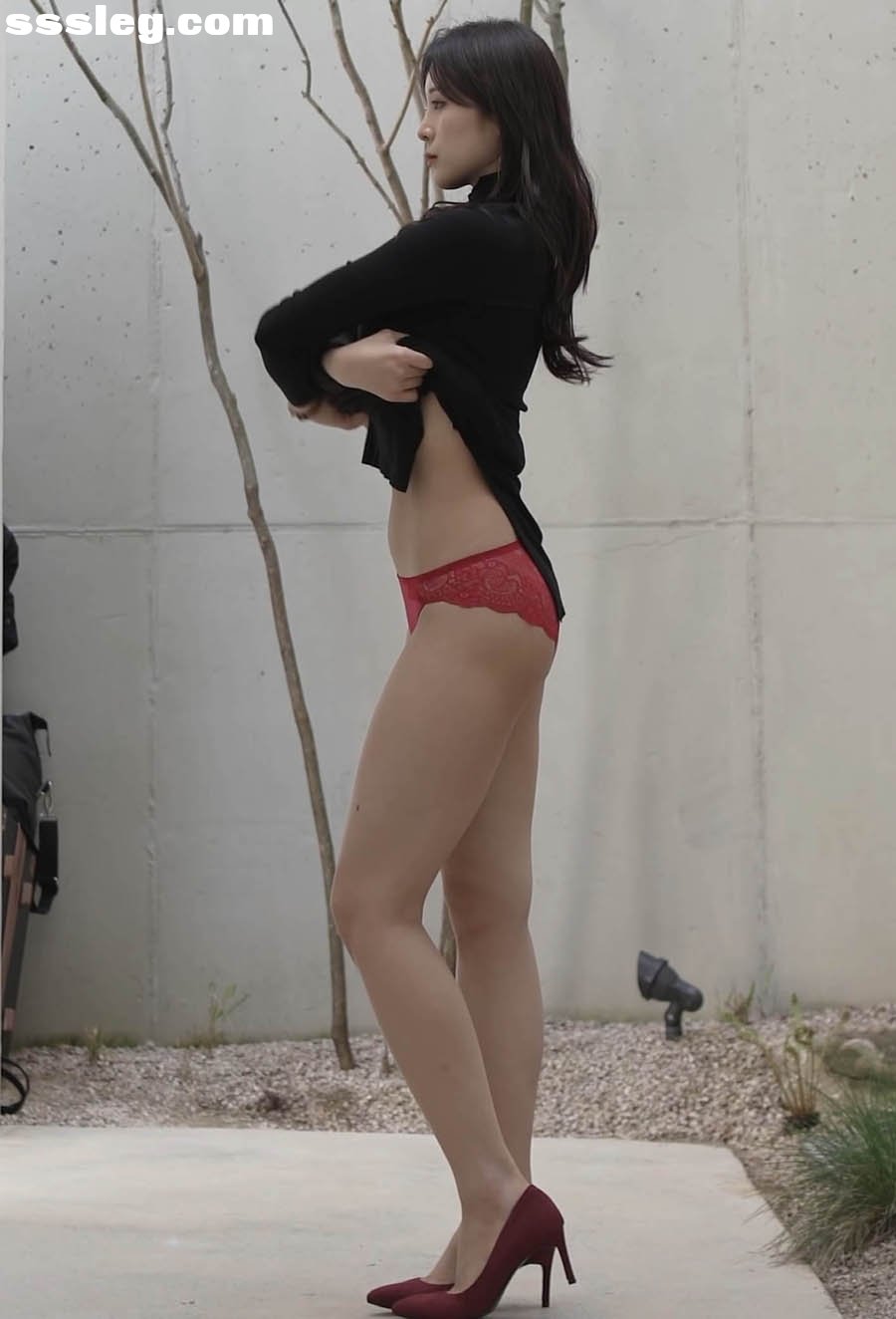 V (1).jpg