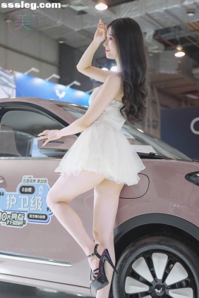 THEBEAUTY 2023东莞秋季车展 五菱车模02 [1V328M]