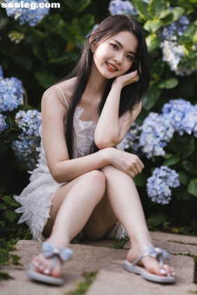 米浆 绣球花[126P286M]