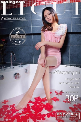 [Ligui丽柜]2013.06.14 另类视觉 Model 小杨幂1