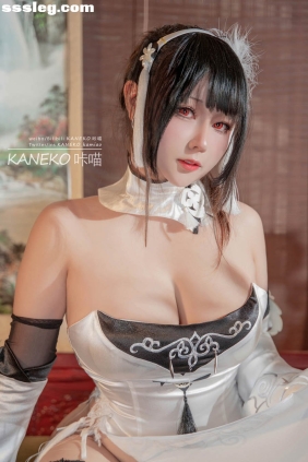 KANEKO_咔喵 碧蓝航线 镇海 白旗袍[30P213M]